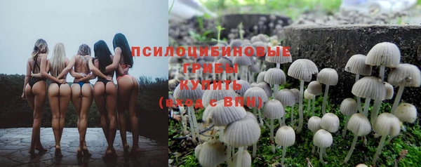 марки nbome Алексеевка