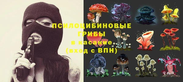 круглые Алзамай